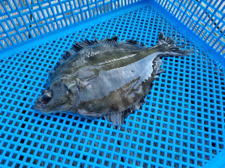  제주 어린이 체험 제주피싱테마파크 가족끼리 오기 좋아요