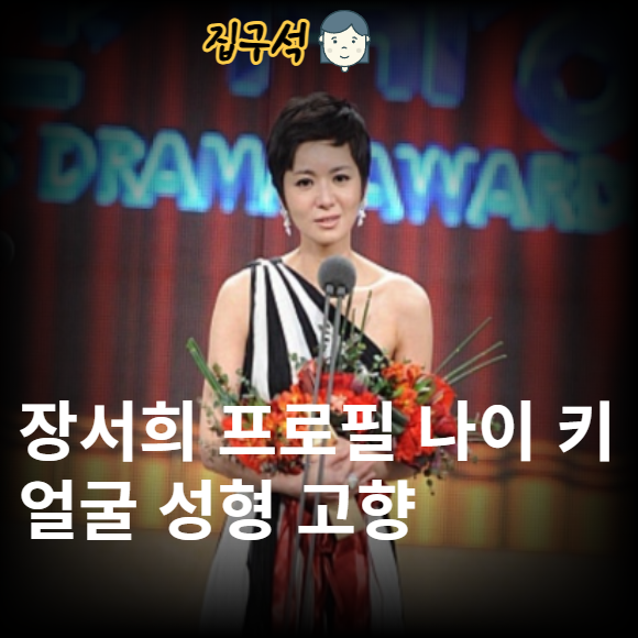 장서희 프로필 나이 키 얼굴 성형 고향 아버지 작품활동 필모그래피