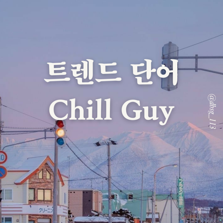  Chill guy 뜻 이게 전부 모르면 나만 손해
