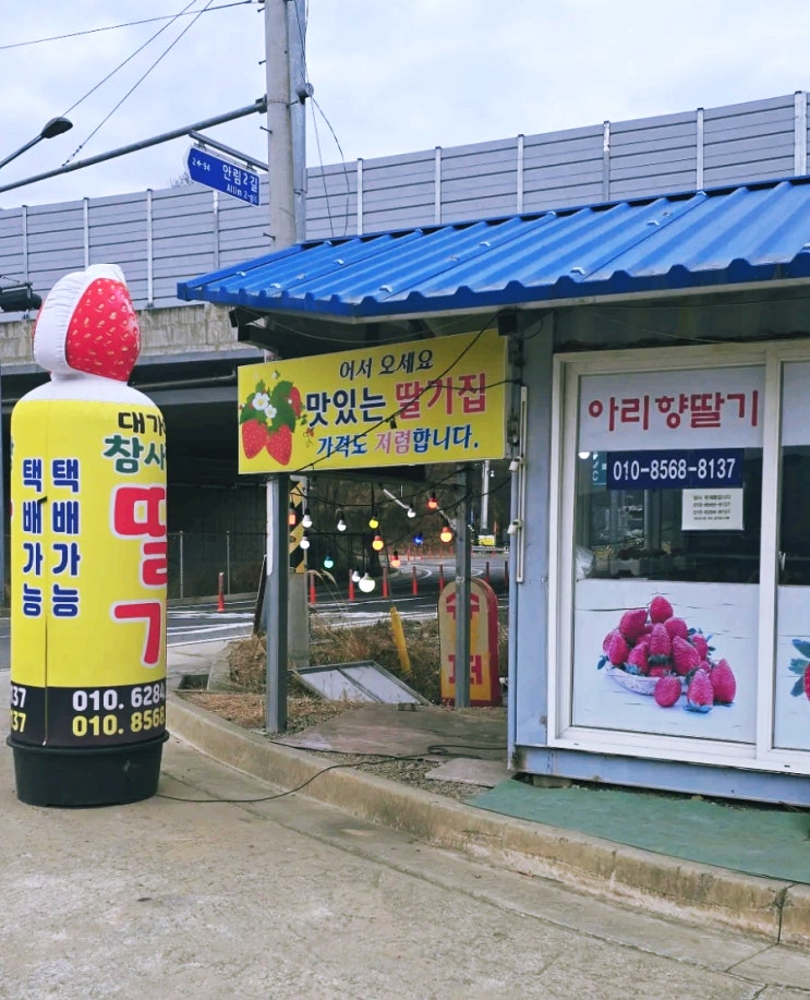  [고령딸기맛집] 딸기철에 꼭 가는 대가야참사랑딸기(고령딸기 먹어봤어요?)