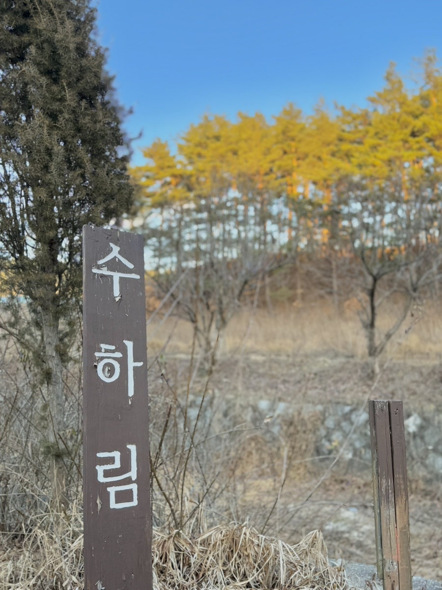 수하림 사진 6