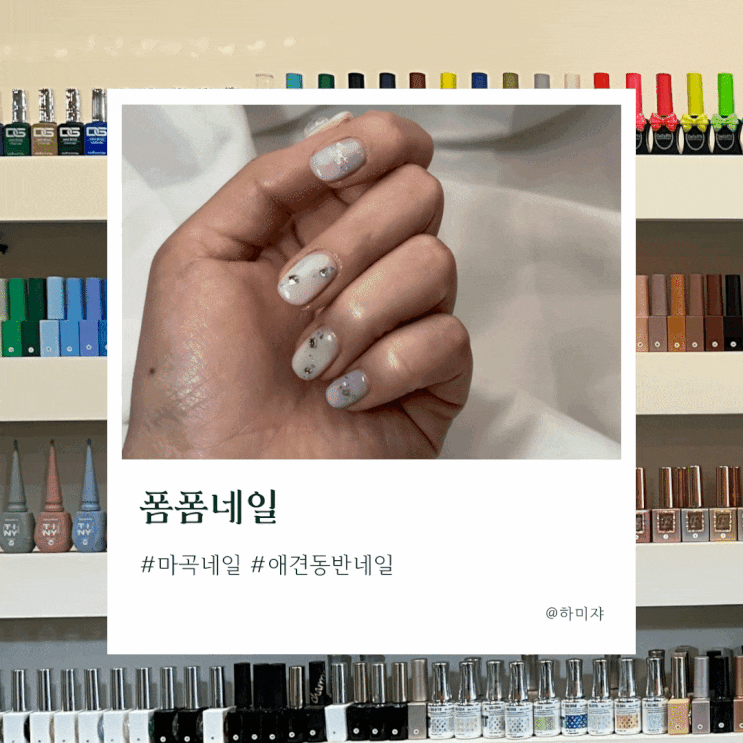  마곡 네일 폼폼 애견동반으로 다녀왔어요