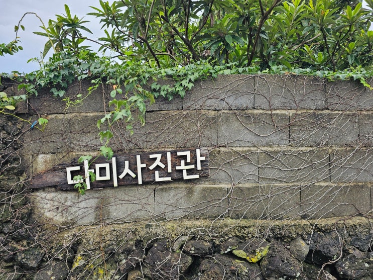  제주도 부모님 환갑 칠순여행 스냅 사진 '다미사진관' 내돈내산 후기