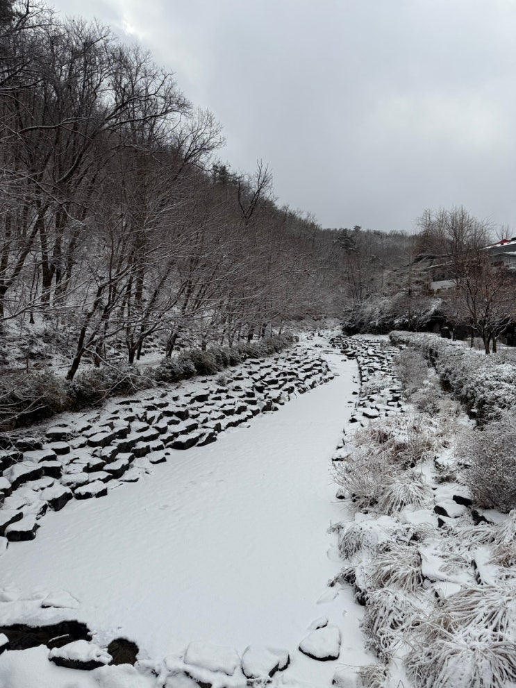  도봉산 설경도 보고, 도봉산 등산로 최고의 맛집 "홍두깨 손칼국수" 에서 맛있는 칼국수를 5,000원에 즐겨보세요!