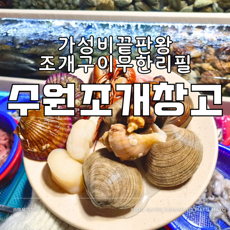  수원조개구이 수원조개창고 영통 무한리필 가성비 맛집