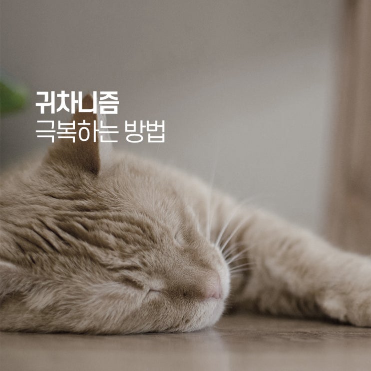  귀차니즘 극복하는 방법