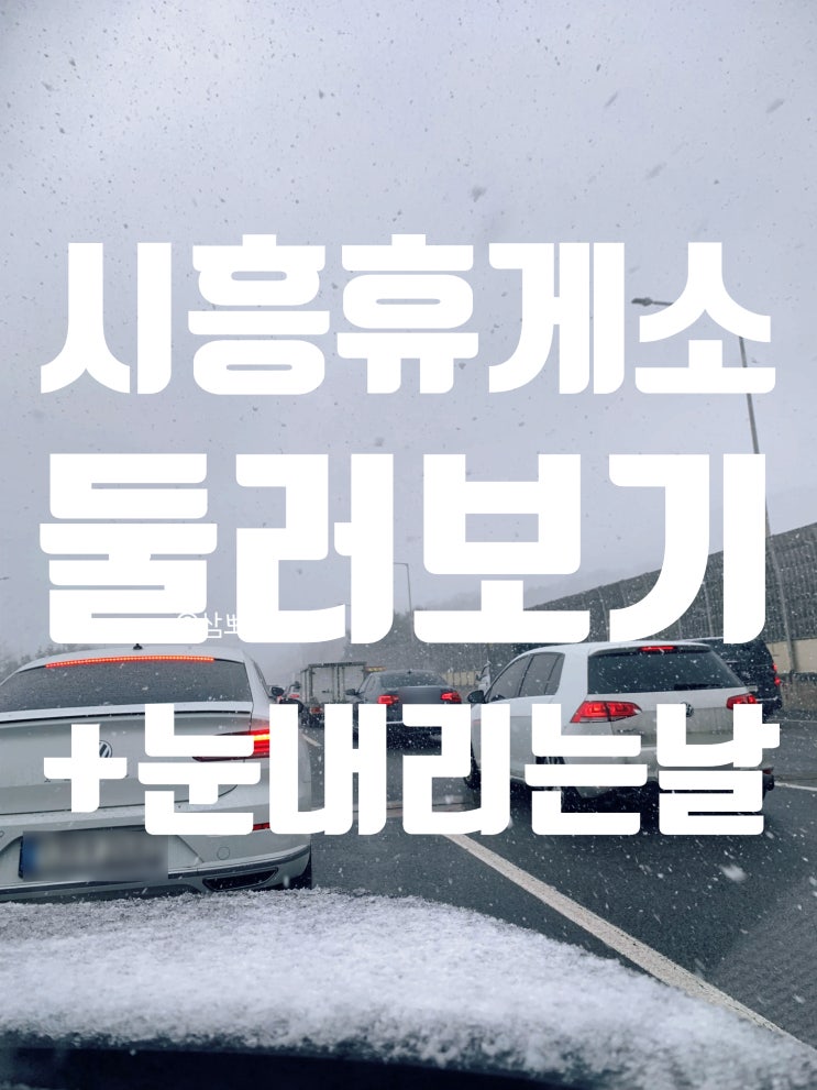  진짜 그냥 일기 | 설 연휴, 갈때도 올때도 시흥하늘 휴게소 방문, 완전 폭설(예쁜 쓰레기)