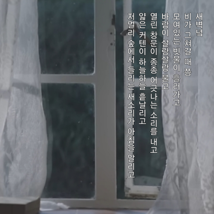  PICK_괜찮다. 삶이 원래 그렇다.
