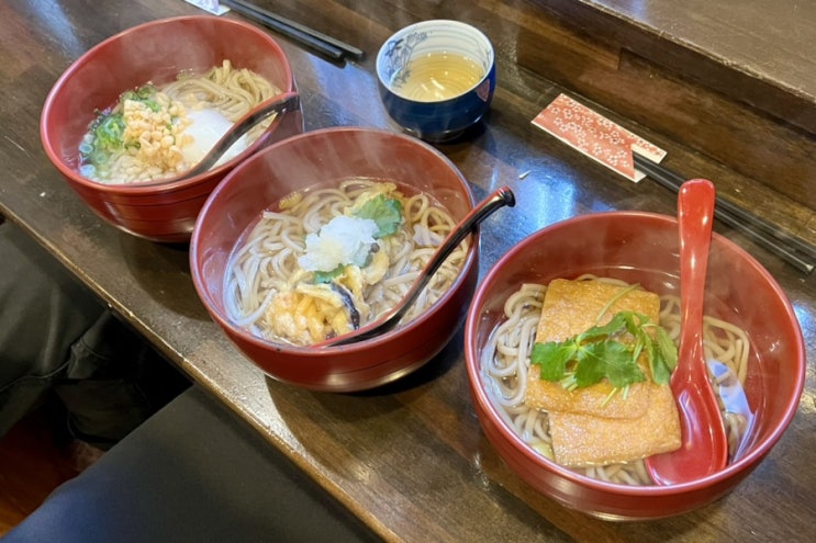  일본/가나자와 [호야사케 소바] 지나가는 일본인에게 직접 물어본 현지 맛집 ! 히가시 차야거리 맛집 추천
