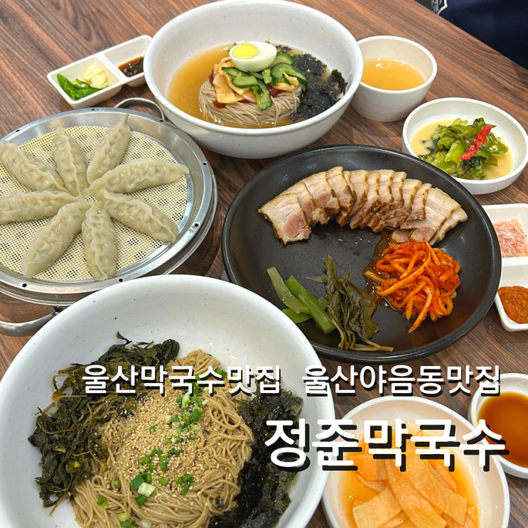  울산 100% 순메밀막국수 야음동 맛집 정준막국수 들기름막국수 추천
