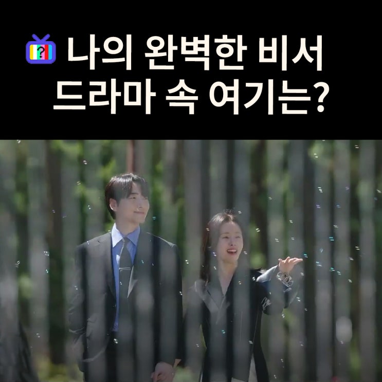  지윤과 은호가 손 잡고 데이트한 공원은? 포항 송도송림테마거리 (드라마 나의 완벽한 비서 촬영지)