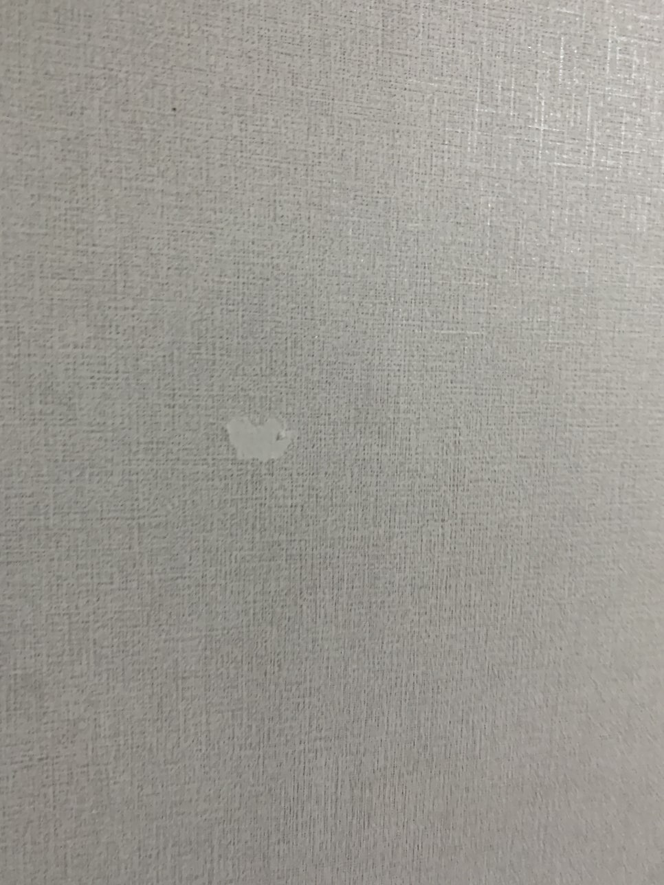찢어진벽지보수 이사전 원상복구