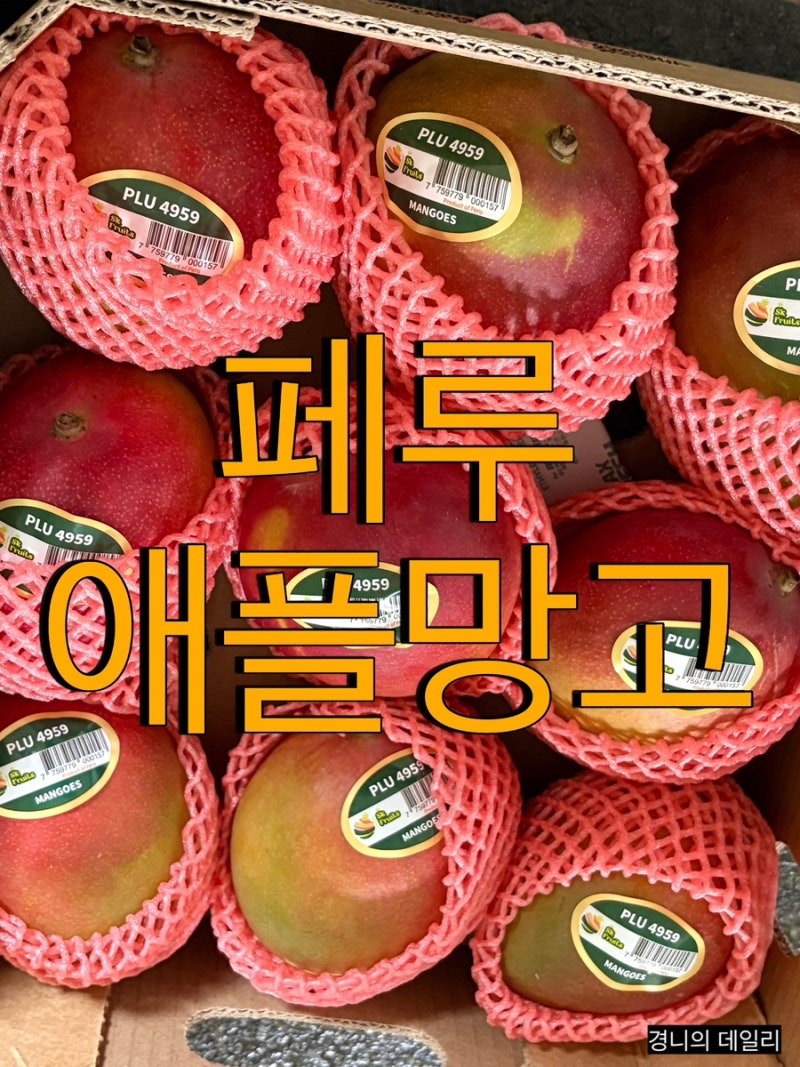 [페루 애플망고 4kg] 알고보니 맛도리, 제일 중요한 후숙방법과 보관방법, 자르는 법 야무지게....