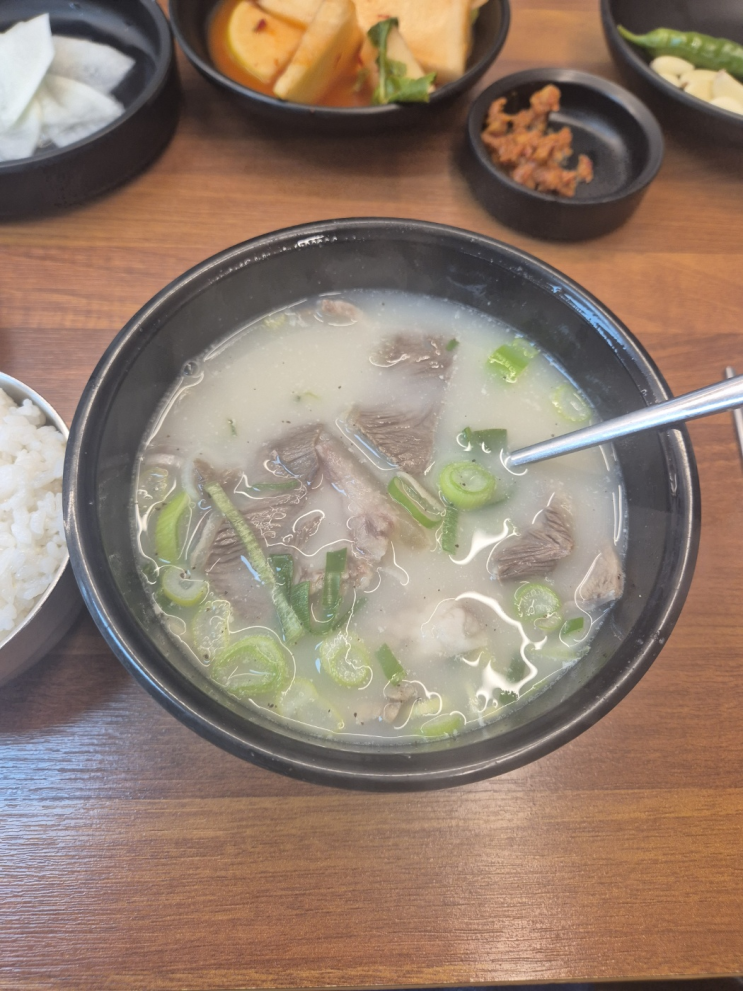  [영천시 완산동] 포항할매집 (소머리곰탕으로 지금까지도 영천 시장바닥을 휘어잡는 CLASSIC)