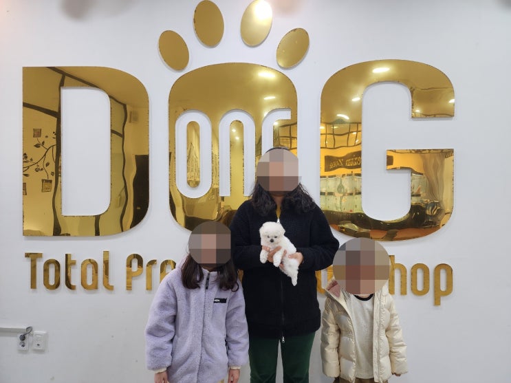  "세종 강아지분양  따님과 함께 선택한 미니비숑 입양 후기
