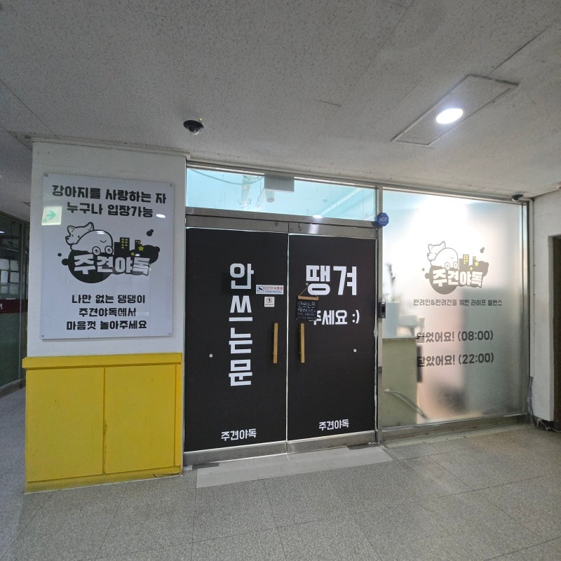 사진 4