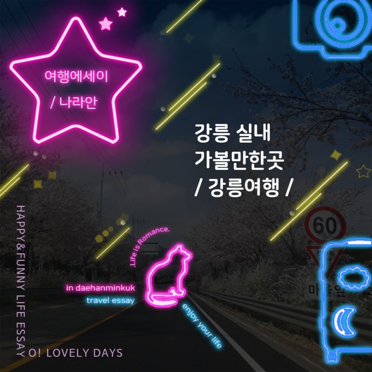  강릉실내가볼만한곳 강릉여행 이색 놀거리 아르떼뮤지엄 런닝맨 환희컵박물관