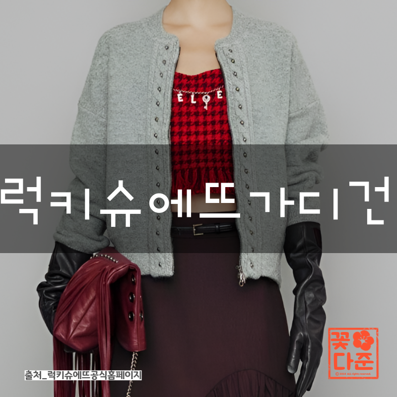 럭키슈에뜨가디건 추천템 5가지! 종류와 특징 분석