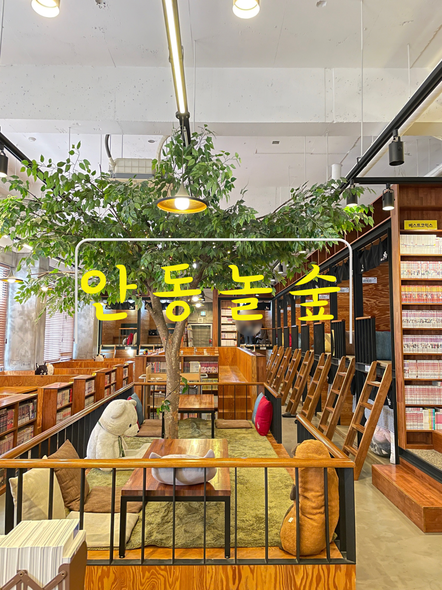 놀숲 안동점