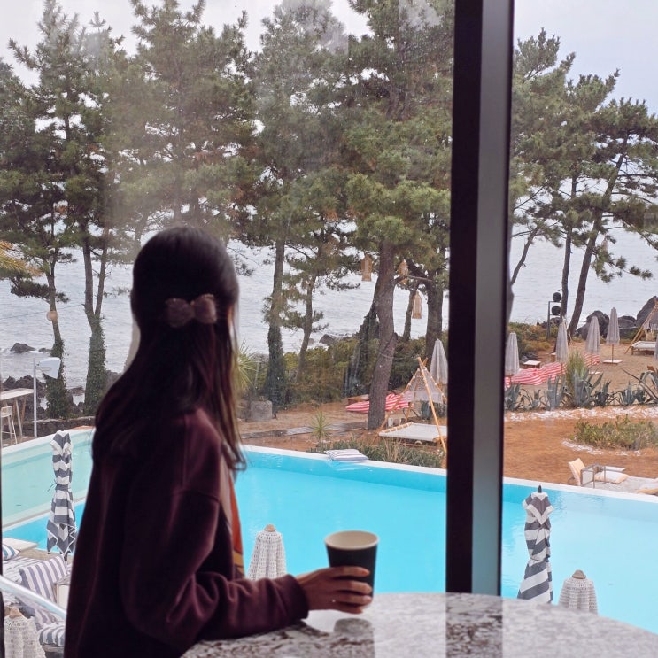  제주도 중문 오션뷰 카페 대포항 서귀포 카페 바다다