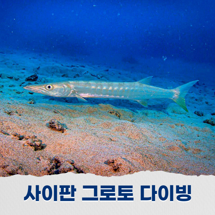  사이판 그로토 스쿠버다이빙 신비로운 블루홀 동굴 투어