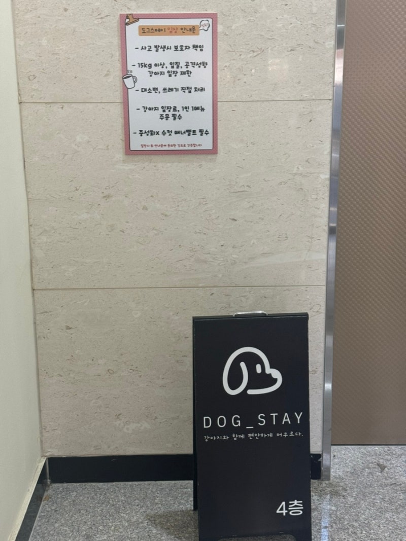 사진 5