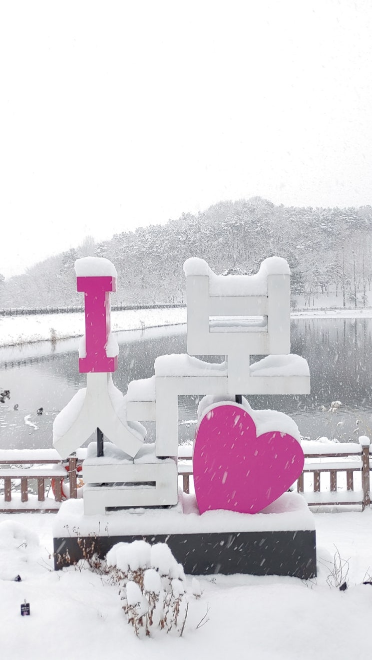 까치설날 아침에 설봉호수에서... 까치설날 아침에 설봉호수에서...