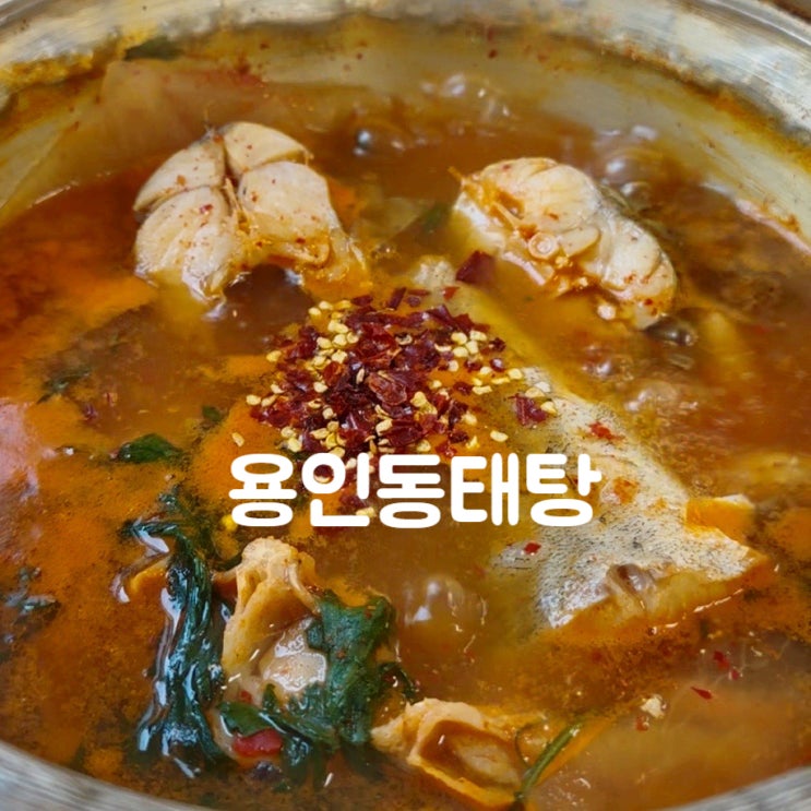  용인 처인구 동태탕 김량장동 맛집 용인동태탕