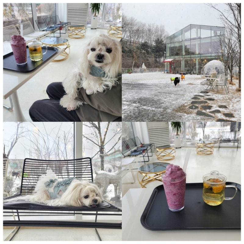 카페사개 동탄반월점