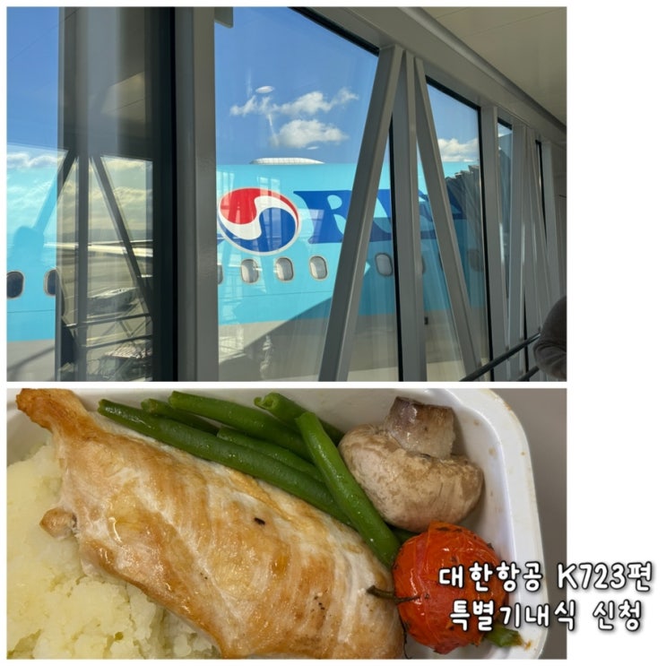 대한항공 인천 오사카 간사이 KE723편 특별기내식 글루텐제한식 신청 탑승 후기
