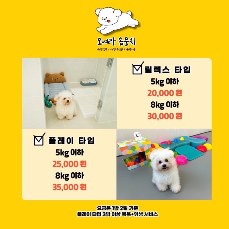 사진 3