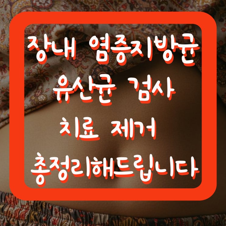  장내 염증지방균 유산균 검사 치료 제거 궁금증 총정리해드립니다
