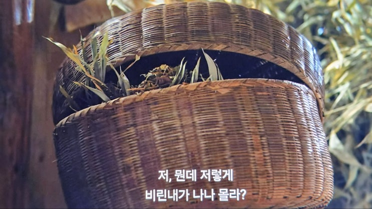  옥씨부인전 결말 16화 줄거리 (혈성초 독초 백사초)