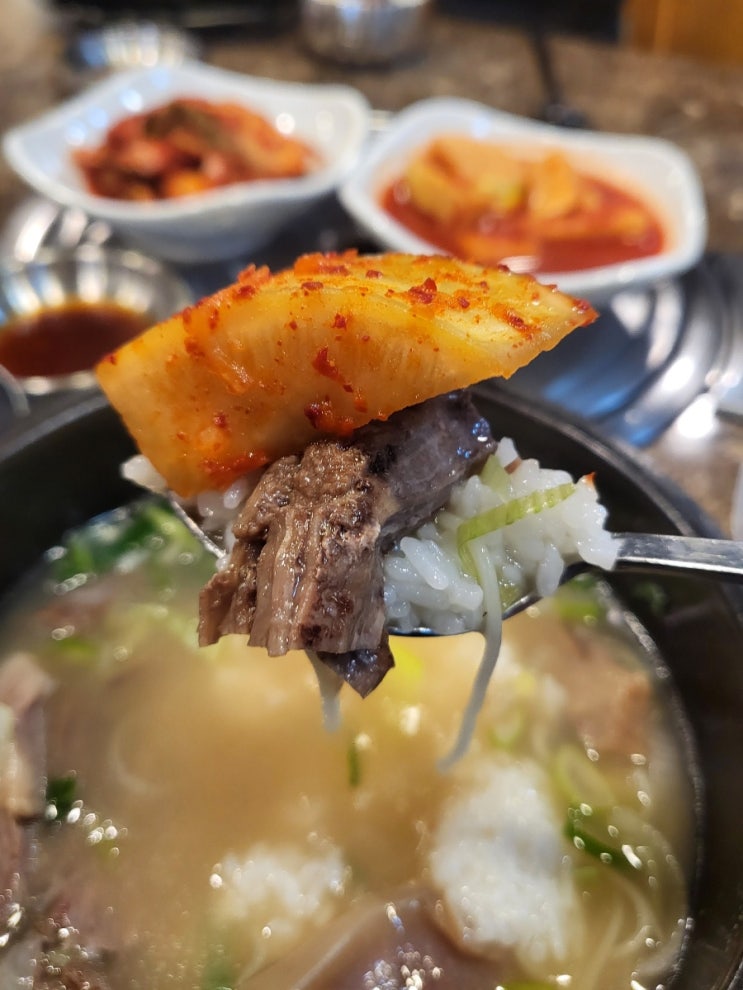  용인 처인구 국밥 에버랜드 맛집 버드실가마솥 소머리국밥