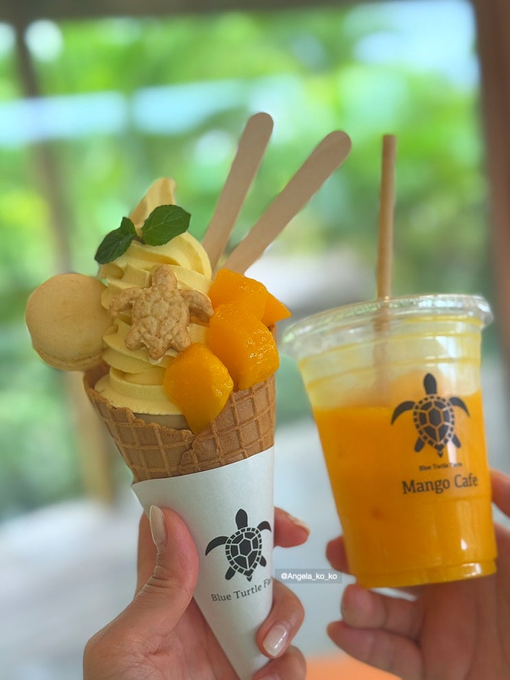  미야코지마 여행 필수 코스 블루터틀 망고 카페 Blue Turtle Farm Mango Cafe