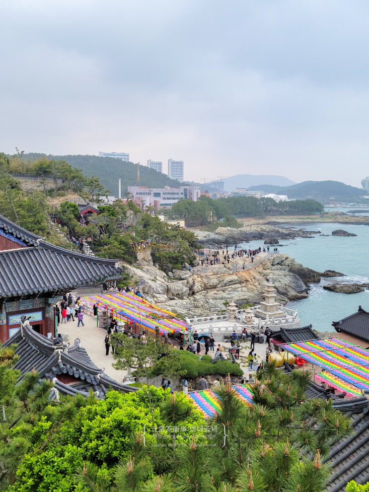  부산 기장 해동용궁사 주차장 입장 소요시간 애견동반