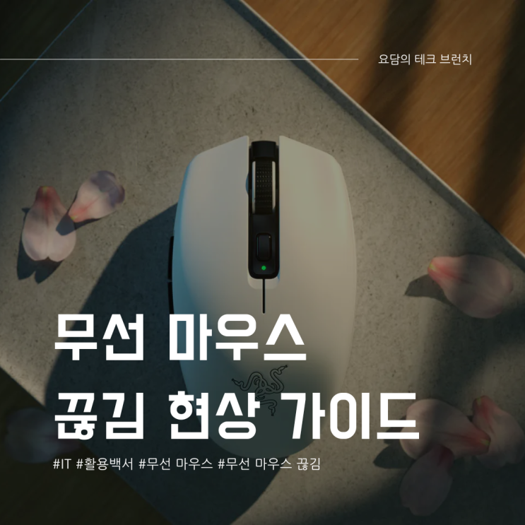  블루투스 무선 마우스 끊김 현상 해결 가이드