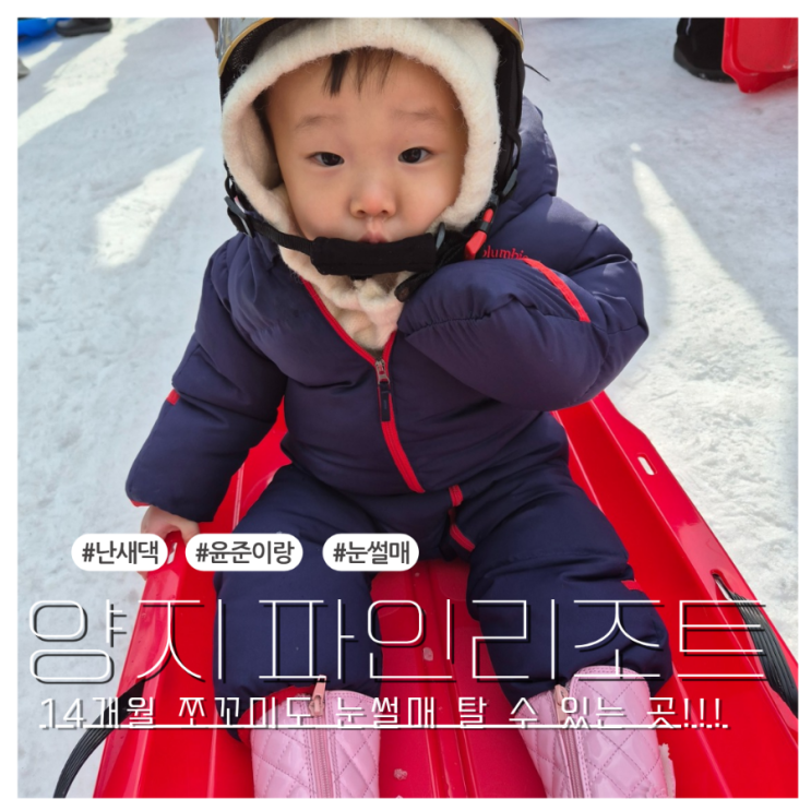  아기랑 눈썰매장 자동 리프트?무빙워크! 있는 양지 파인리조트