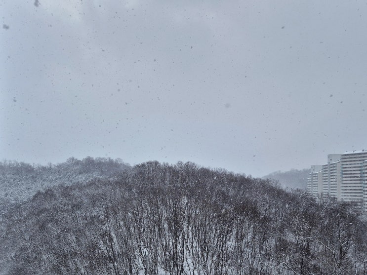  설국(雪國)과 인연 -호기심건축사
