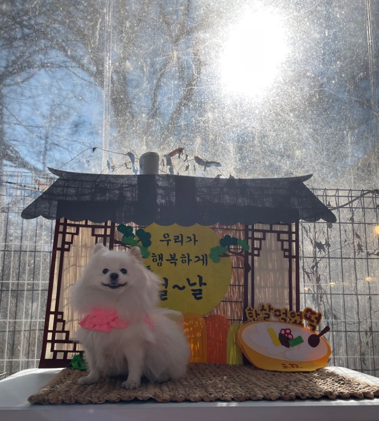  2025.01.26 설 연휴기간 우리 일상