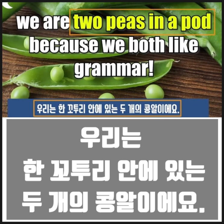 VOA 매일영어 매일문법 은유적표현 '거의 천국이에요''우리는 한 꼬투리 안에 있는 두 개의 콩알이에요' 2025년 1월 29일 VOA 매일영어 매일문법 은유적표현 '거의 천국이에요''우리는 한 꼬투리 안에 있는 두 개의 콩알이에요' 2025년 1월 29일
