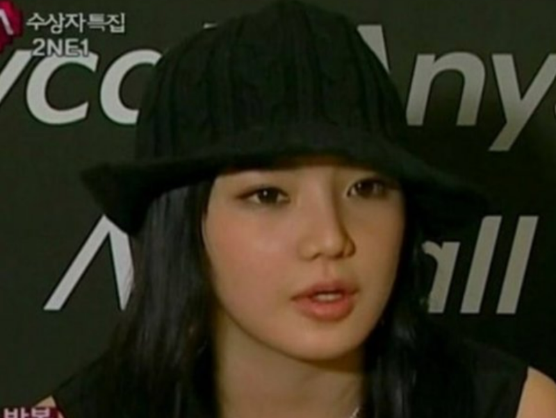 박봄 리즈시절 변천사 과정 최근 근황까지