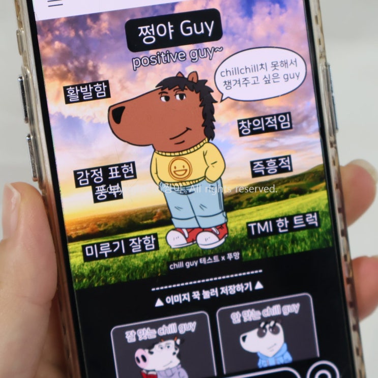  chill guy 밈 뜻 테스트 링크 : 칠가이 MBTI 결과 해석하기