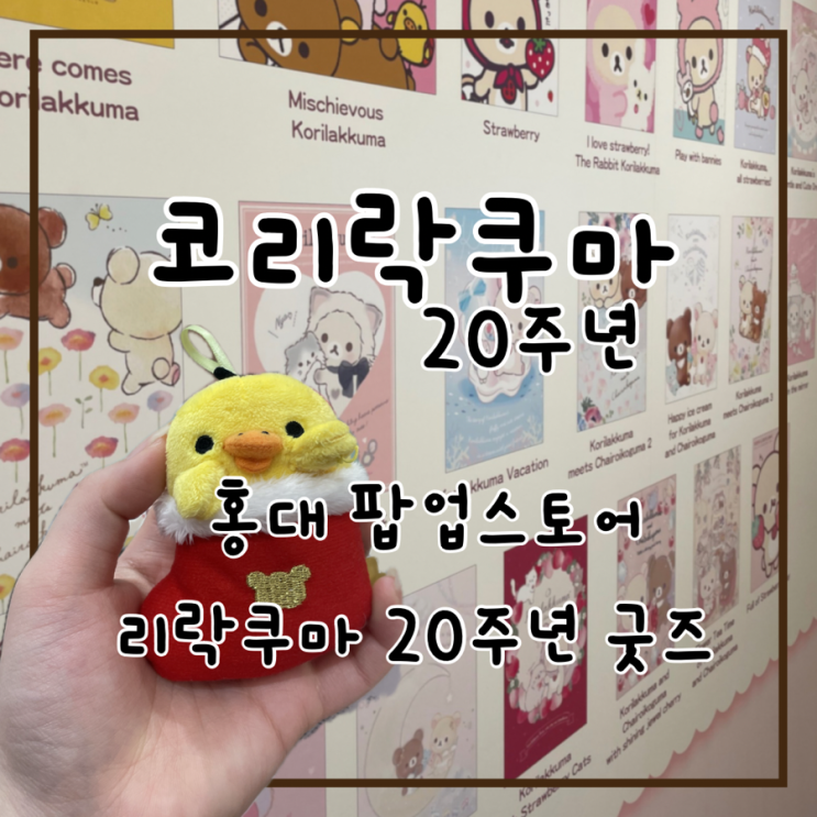  홍대 AK플라자 코리락쿠마 20주년 팝업 다양한 라인업 한정굿즈까지
