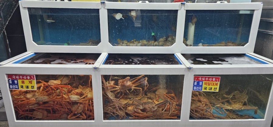 게판회판 사진 3