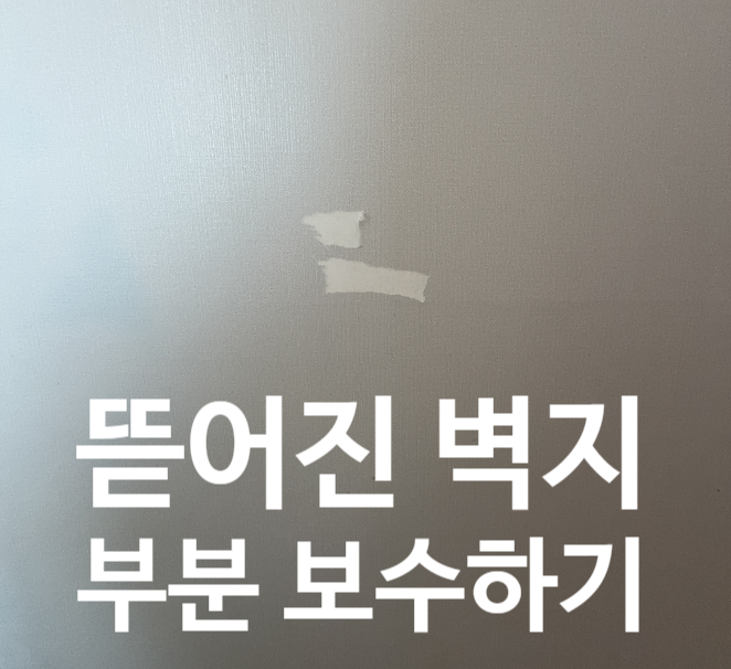  뜯어진 벽지 부분 보수