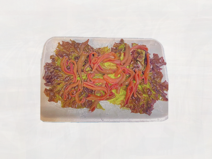  파주맛집, 가족과 함께 즐기는 건강하고 신선한 회선장