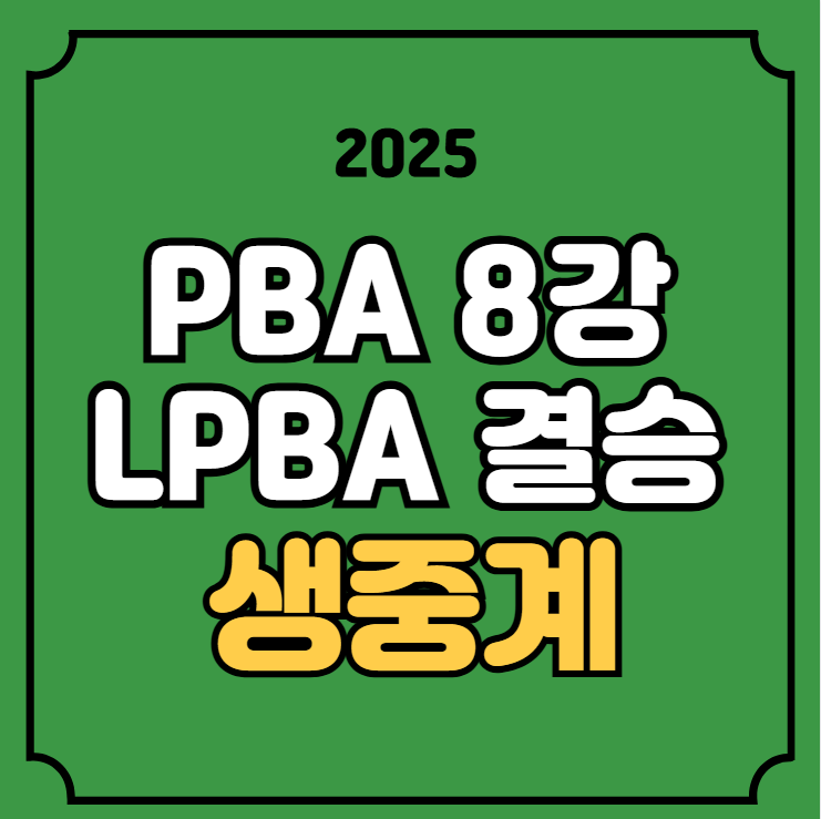 경기일정 <b>LPBA 결승</b> <b>김가영 김민아</b> <b>결승</b>전 시간 실시간... 
