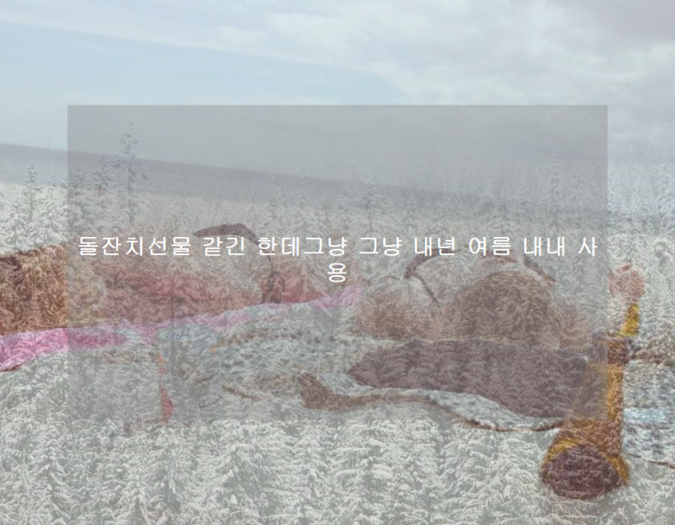  돌잔치선물 같긴 한데그냥 그냥 내년 여름 내내 사용