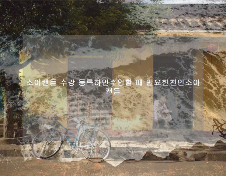  소이캔들 수강 등록하면수업할 때 필요한천연소이캔들